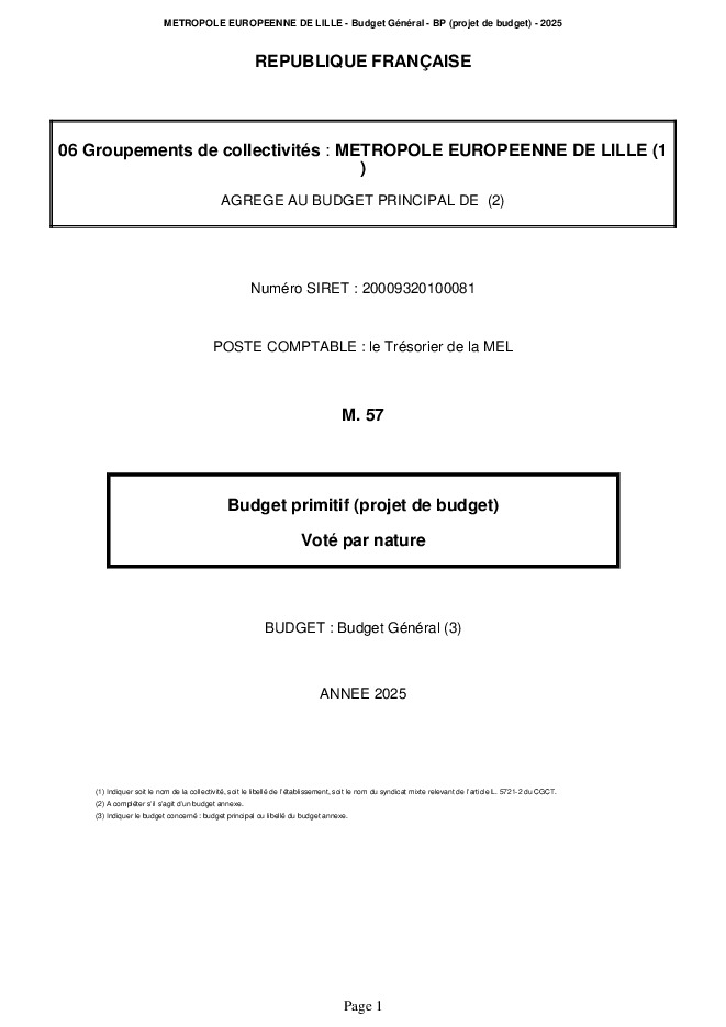 Annexe 4 Budget Primitif 2025 Maquette budget général (.pdf)