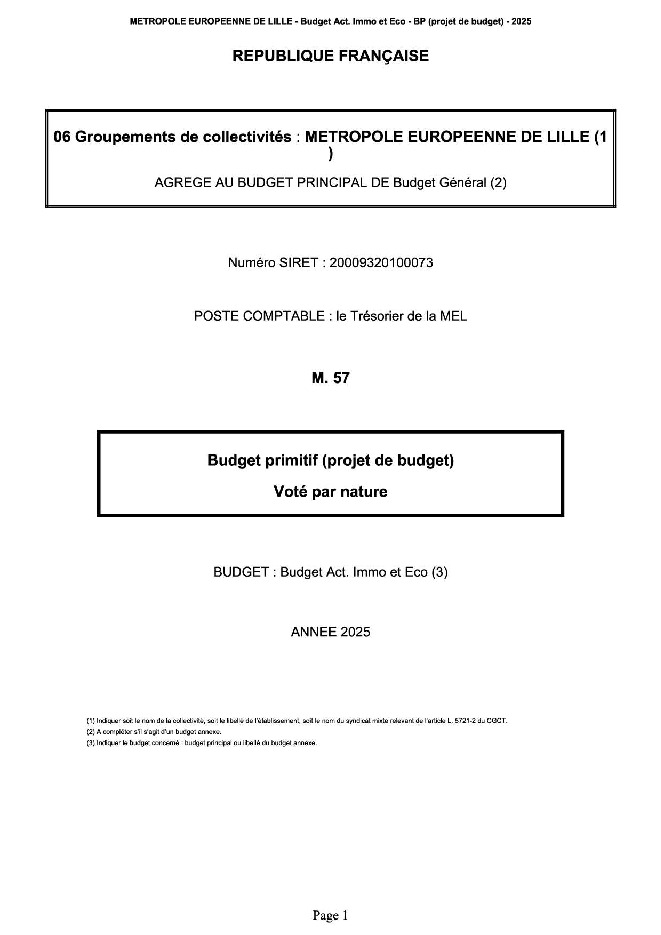 Budget Primitif 2025 Maquette activités immobilières économiques (.pdf)