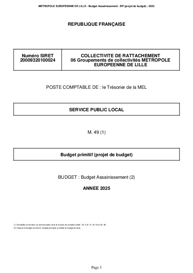 Budget Primitif 2025 Maquette assainissement (.pdf)