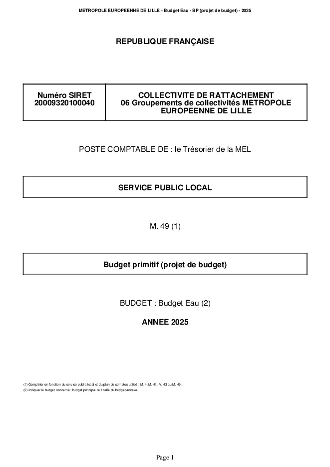 Budget primitif 2025 Maquette Eau (.pdf)