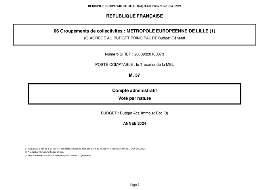 Comptes Administratifs 2024 : Maquette AIE (pdf)