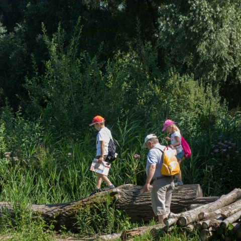 En 2019, les Espaces Naturels de la MEL invitent à la découverte des trésors naturels de la Métropole	