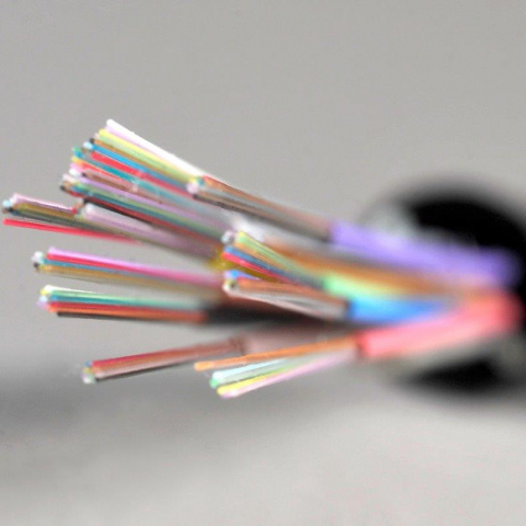 La fibre pour tous