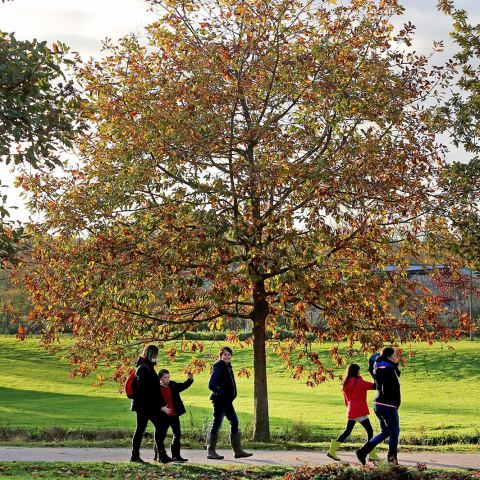 MOSAÏC, le jardin des cultures : l’espace naturel de la Métropole Européenne de Lille demeure un « Jardin remarquable » 