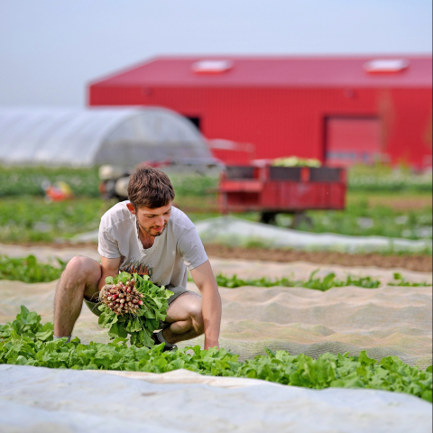 Agriculture et alimentation : Terreau fertile