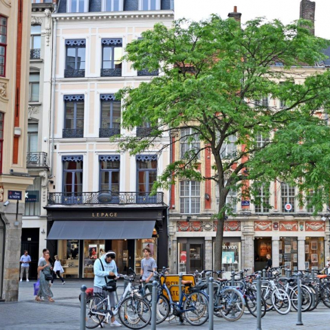 Protéger et valoriser le centre historique de Lille