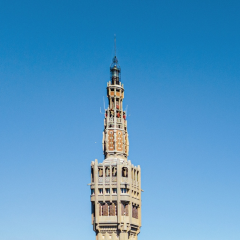 Procédure de déclaration d’état d’abandon manifeste à Lille