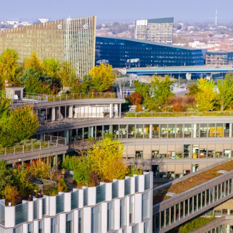 Concertation : imaginons ensemble le territoire de demain !