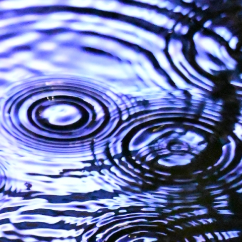 Le Résilience Tour 2025 fait escale dans la Métropole