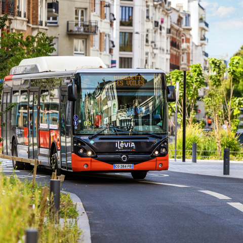 Transport : un réseau de bus réinventé