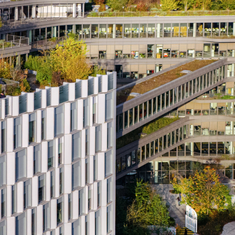 Continuité de la gouvernance métropolitaine