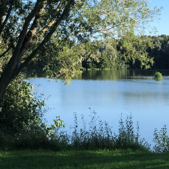 Métropole turquoise : 1 million d’arbres et un investissement de 250 millions d’euros pour la biodiversité 