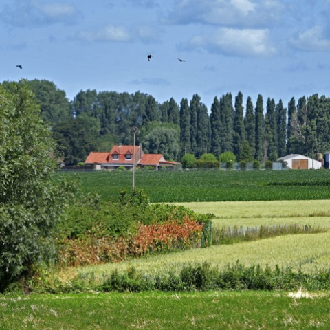 Concours Agricole des Pratiques Agroécologiques, la MEL met à l’honneur des agriculteurs du territoire engagés pour la biodiversité
