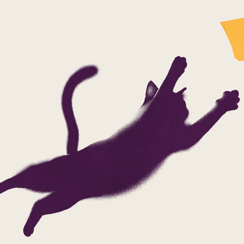 Festival « Hauts les livres ! » : soutenir le livre