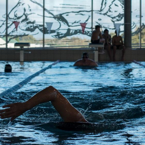 Plan Piscine : les bassins temporaires désormais éligibles au financement de la Métropole