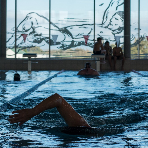 Plan piscine 2 : un bassin de 50 mètres dans la ZAC de l’Union