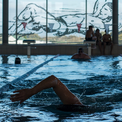 Plan Piscine 2 : à Marcq-en-Barœul, une future piscine d’intérêt métropolitain financée par la MEL