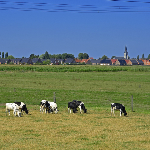 Conseil métropolitain du 12 décembre 2019 - La Métropole Européenne de Lille approuve les Plans Locaux d’Urbanisme  des communes d’Aubers, Bois-Grenier, Fromelles, Le Maisnil  et Radinghem-en-Weppes