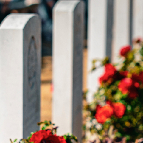 Fromelles