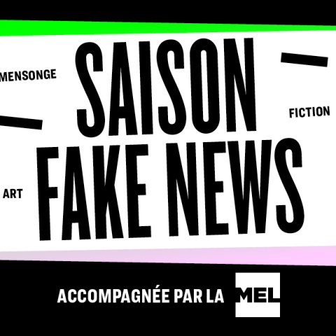 Les « fake news » s'invitent dans les bibliothèques