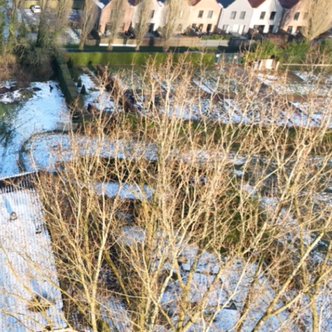 Bois de Verlinghem : de nouveaux travaux d'aménagement