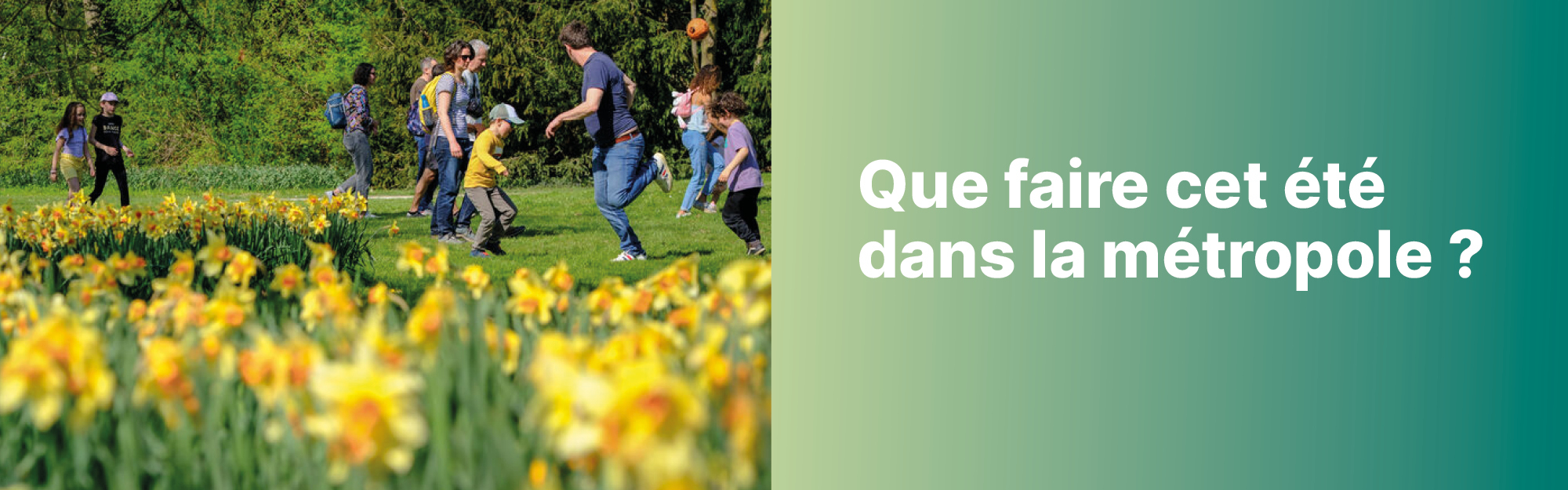 Agenda de l'été : que faire près de chez vous ?
