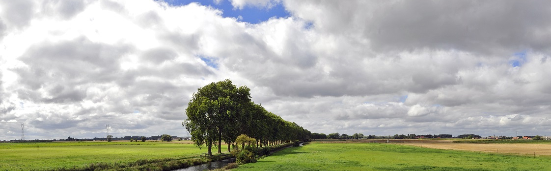 Conseil Métropolitain du 12 décembre 2019 -La Métropole Européenne de Lille s’engage pour protéger durablement la ressource en eau, bien commun de l’ensemble des métropolitains : Création d’un projet de territoire pour les communes « gardiennes de l’eau »