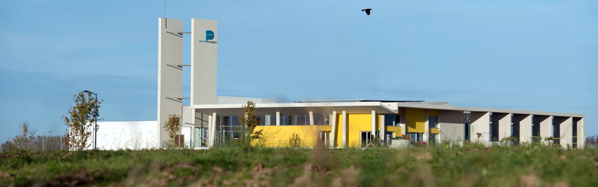 La Piscine des Weppes rouvre ses portes au public à compter du 1er juillet