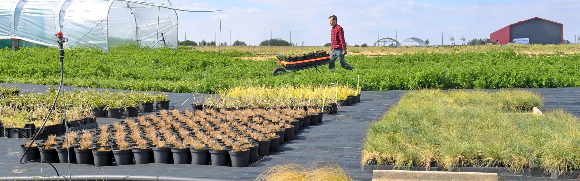 Concours des pratiques agroécologiques : 4 candidats du territoire en lice