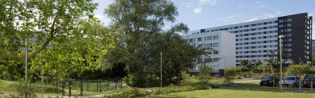 Renouvellement urbain : concertation autour des projets roubaisiens