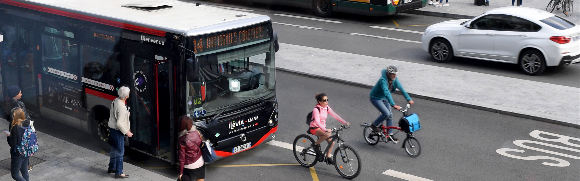 ilévia adapte son offre de transport : reprise de la Corolle 2 (CO2)