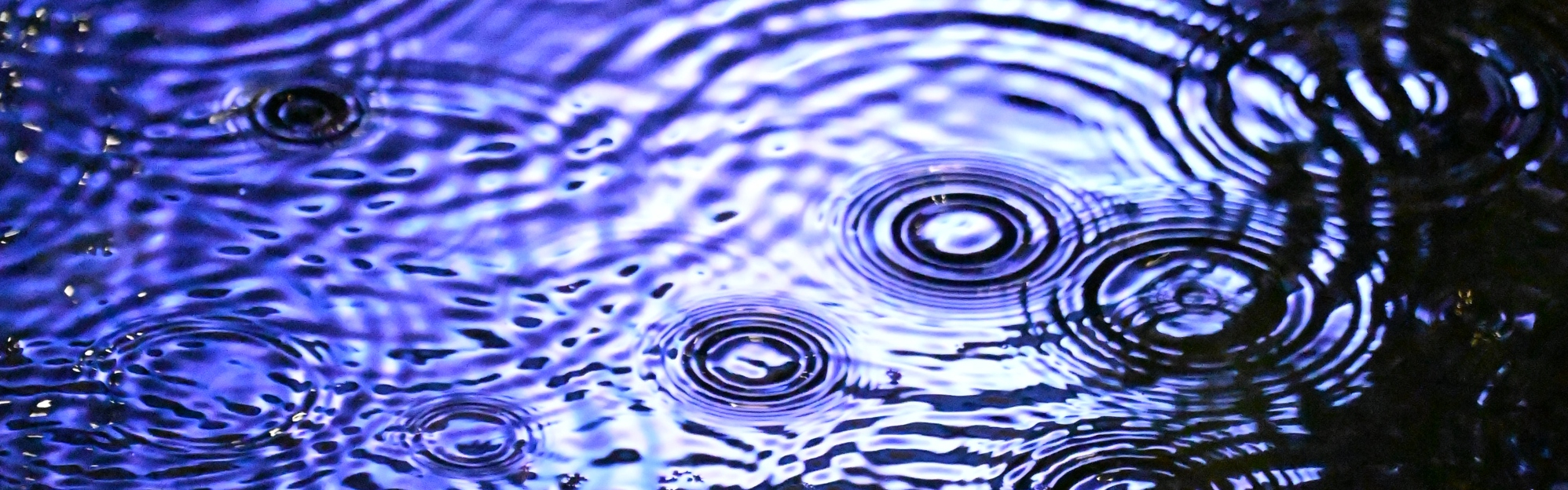 Le Résilience Tour 2025 fait escale dans la Métropole