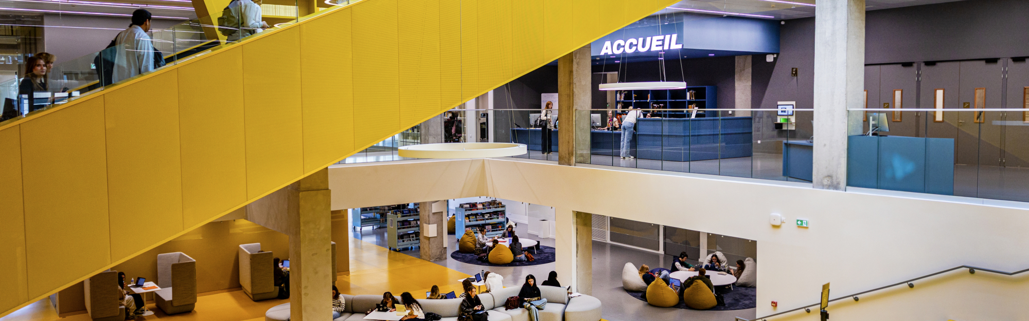 Une bibliothèque augmentée
