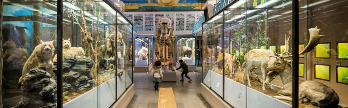 Musée d'Histoire Naturelle