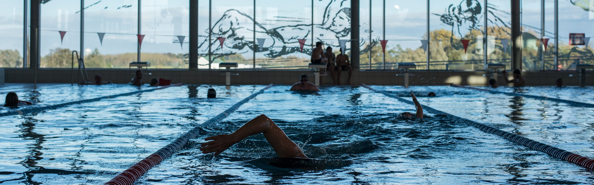 Plan Piscine 2 : à Marcq-en-Barœul, une future piscine d’intérêt métropolitain financée par la MEL