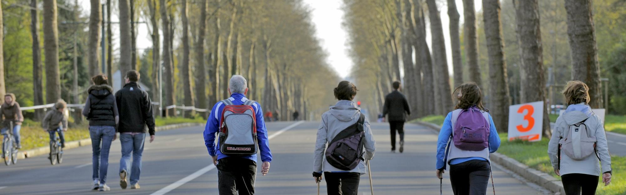 Piétons, marcheurs... on a besoin de votre avis