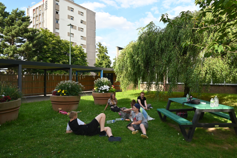 enfants jouant dans une cour d ecole