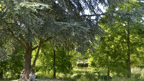 Jardin des géants