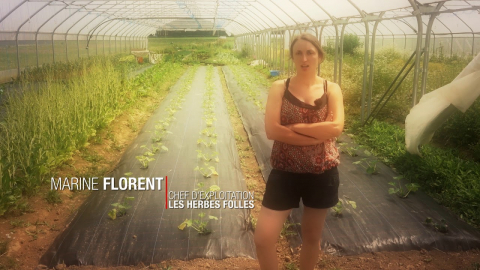 #50ansMEL : Agriculture #50ansMEL : Agriculture
