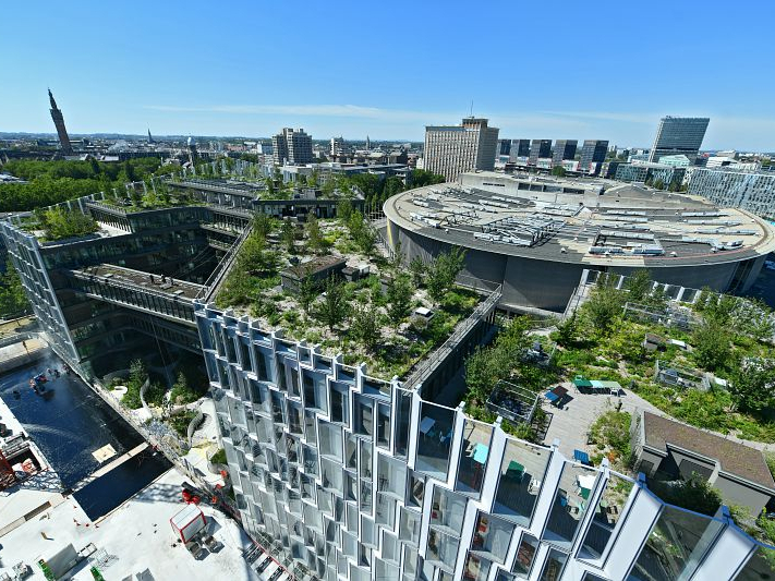 Vue du toit terrasse du Biotope