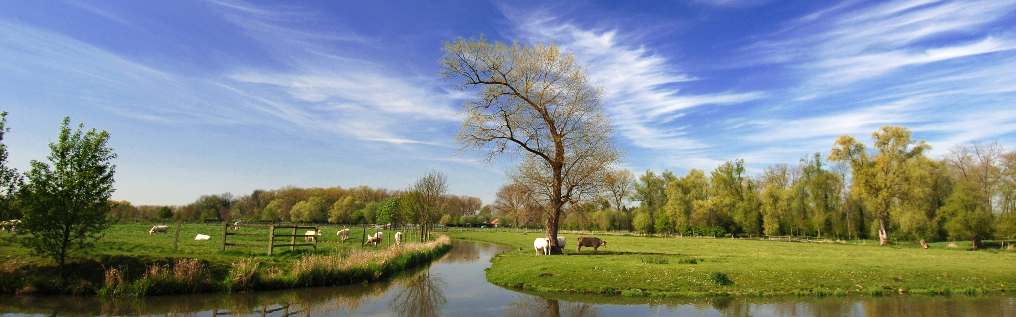 Gardiennes de l'eau