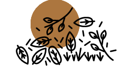 Biodéchets