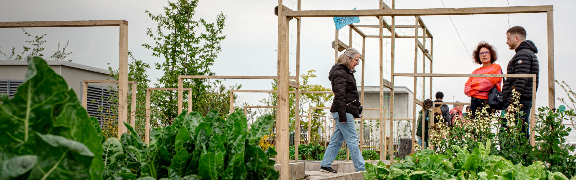 Agriculture urbaine