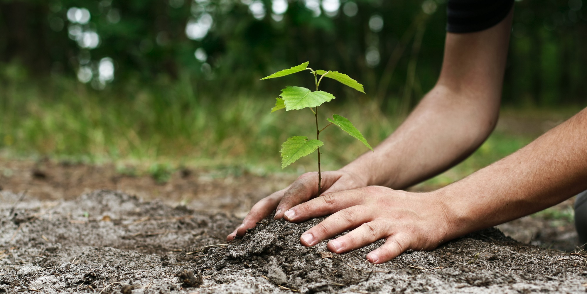 plan climat