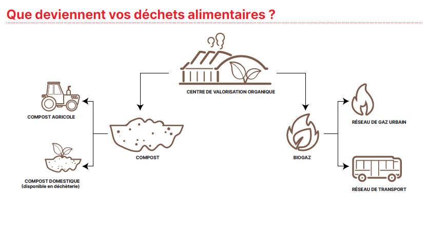 biodechets