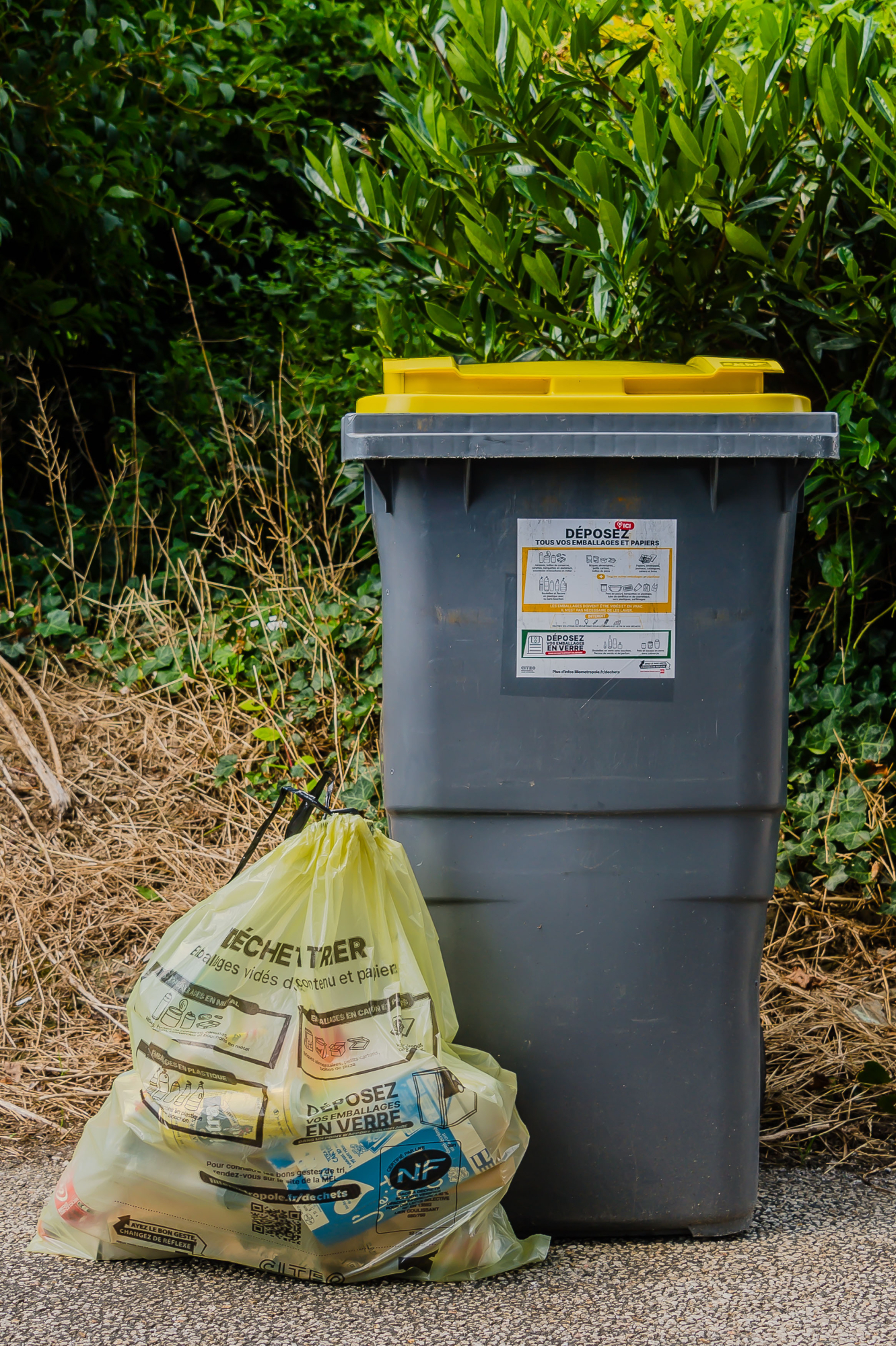 BAC ou SAC JAUNE