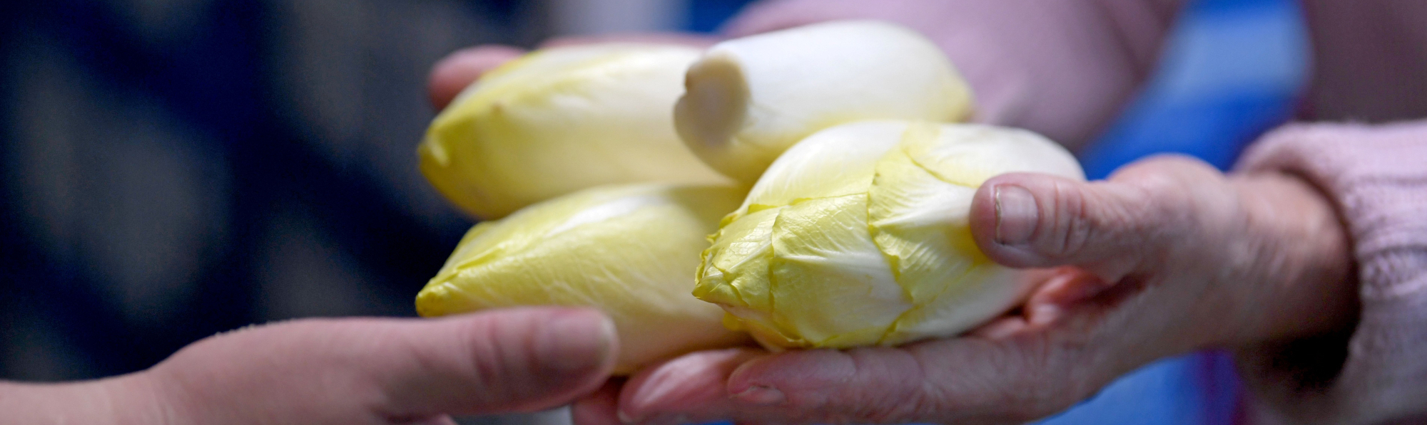endives